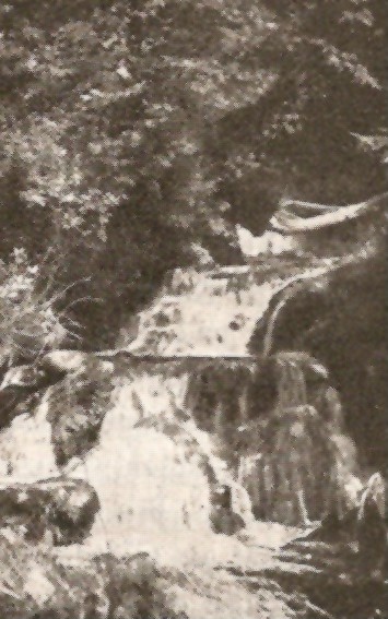 aubach01.jpg (69398 Byte)