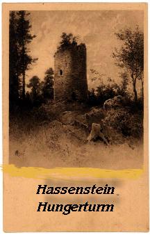 hassenstein14.JPG (16868 Byte)
