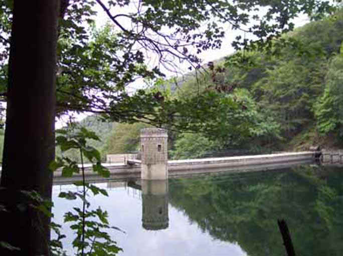 moritztalsperre.jpg (60516 Byte)