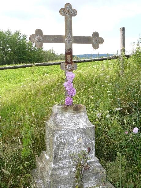 quinau0801.jpg (87816 Byte)