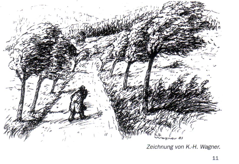 rousbuttenbou02.jpg (152875 Byte)
